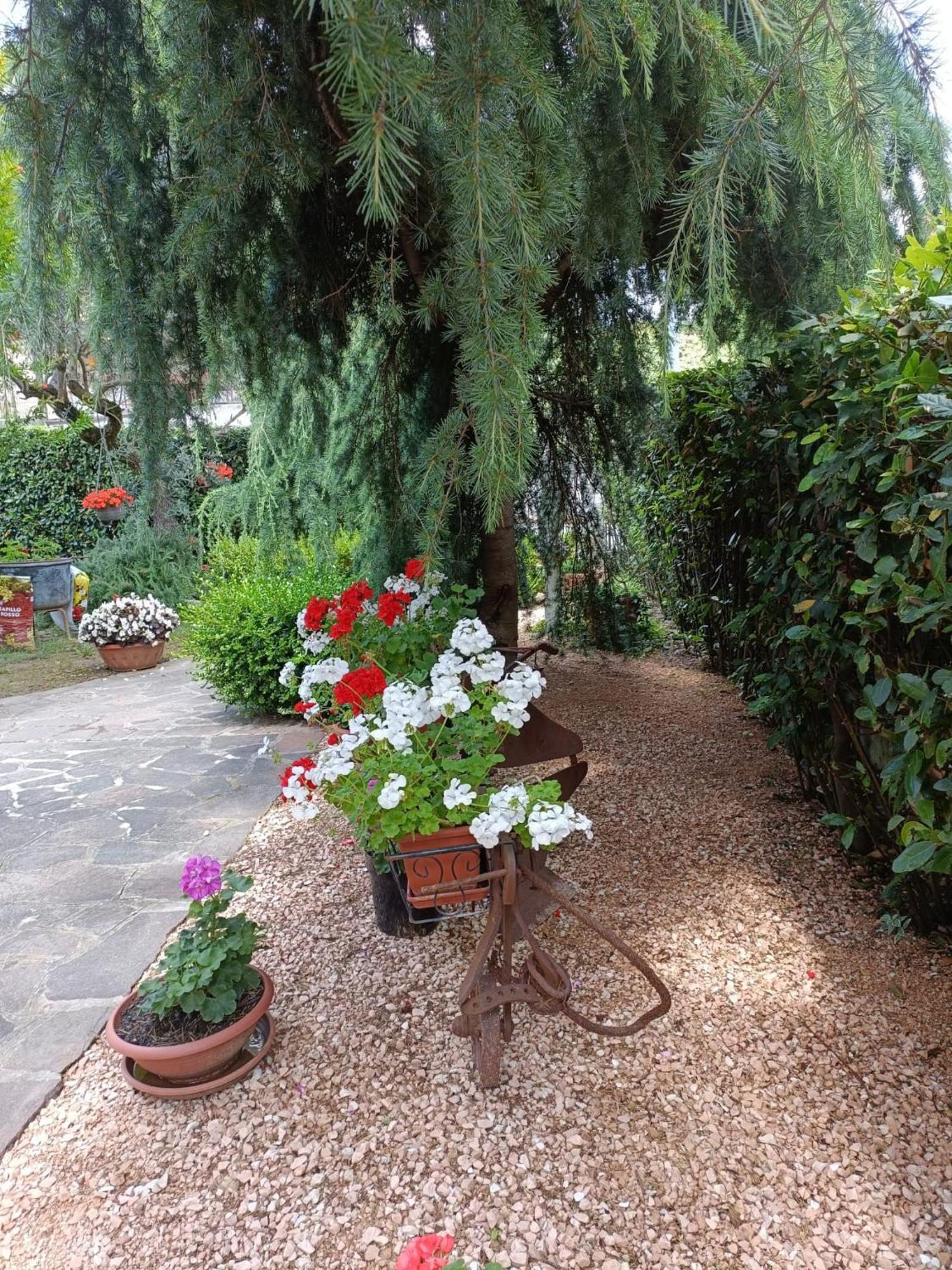 Recanati Family المظهر الخارجي الصورة